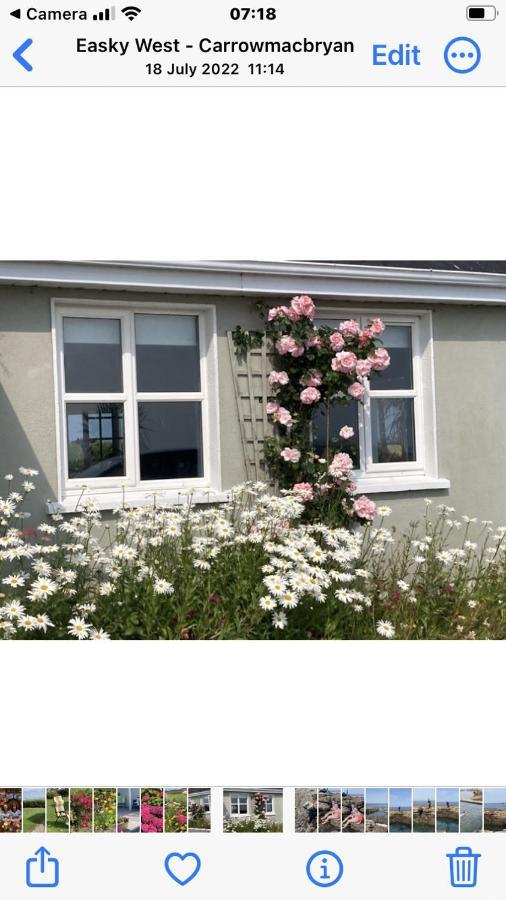 Bed and Breakfast Wild Atlantic View à Sligo Extérieur photo